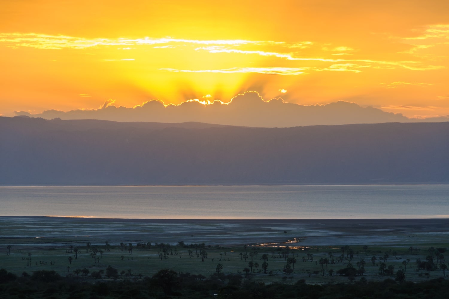 Safari Landscape