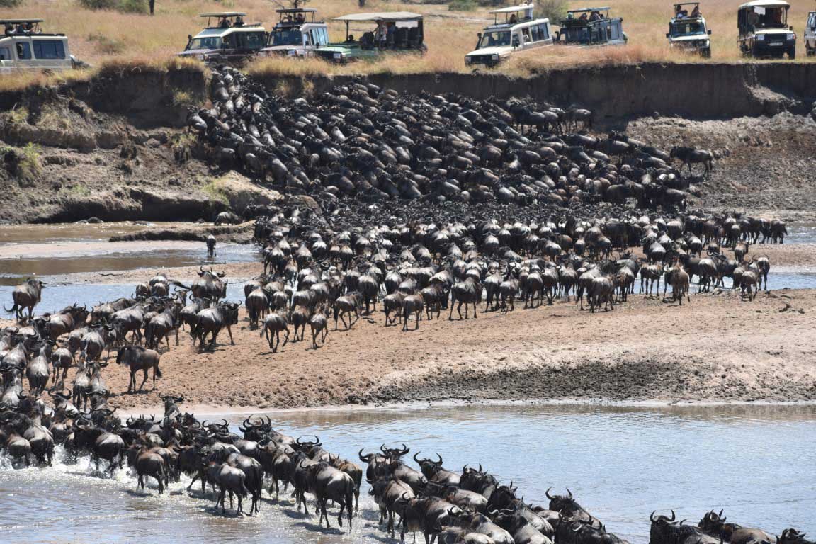 Great Migration