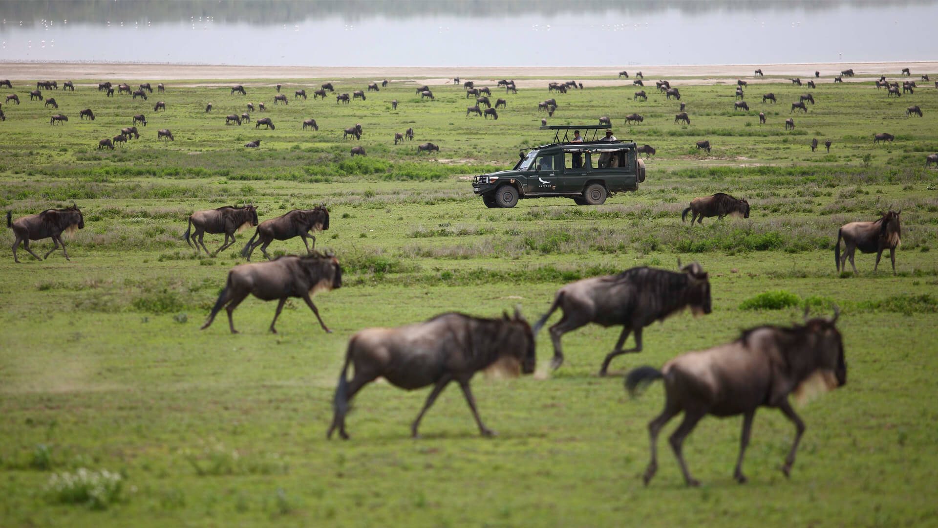 Lake Manyara